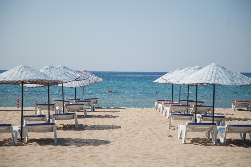 Amphora Hotel Ayvalı Εξωτερικό φωτογραφία